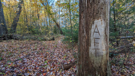 Allegheny Front Trail Thru Hike - October 2023