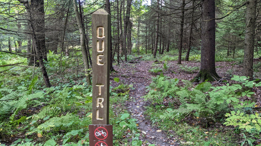 The Quehanna Trail - September 2022